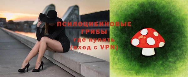 прущий лед Алексеевка