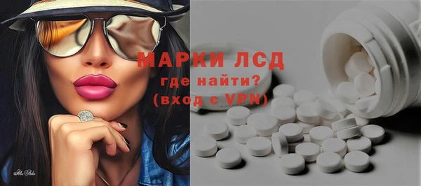 PSILOCYBIN Алзамай
