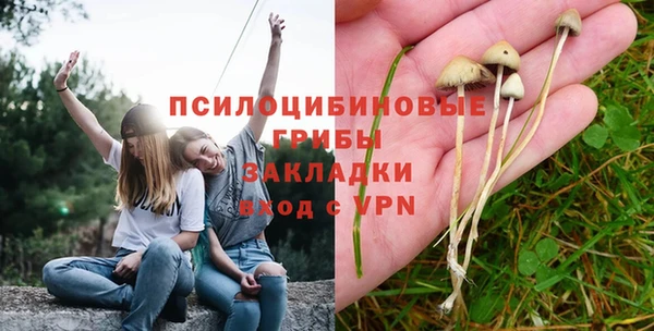 прущий лед Алексеевка
