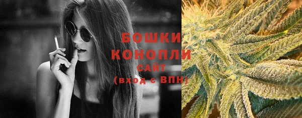 PSILOCYBIN Алзамай