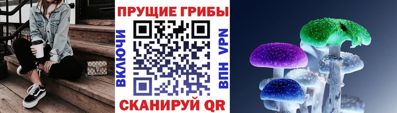 Галлюциногенные грибы Cubensis  закладка  Красновишерск 
